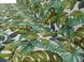 Комплект подушек к качелям eGarden ONA VERDE 180x110x6 c темно-зелёным тентом 120х210 5250 фото 3