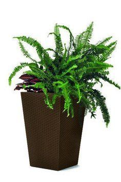 Горщик для рослин Keter Rattan Planter S (small) 23,6 л 1177105141 фото