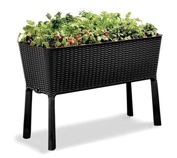 Грядка для рослин Keter Easy Grow, сіра 894911893 фото