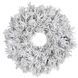 Венок &oslash; 60 см декоративный Dinsmore Frosted зеленый со снегом 897963147 фото 1