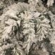 Гирлянда 180 см. декоративная Dinsmore Frosted зеленая со снегом 897963148 фото 2