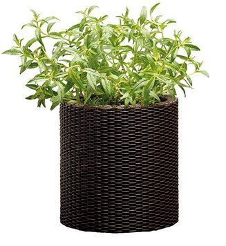 Горщик для квітів Keter 7 л. Cylinder Planter Small, коричневий 894914608 фото