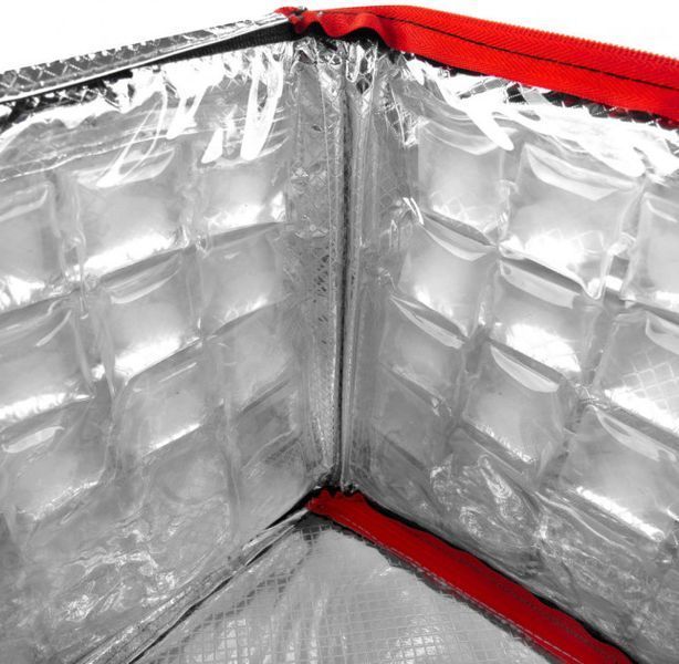Термосумка з вбудованими акумуляторами холоду Spokey ICECUBE 4(927381) 15072 фото