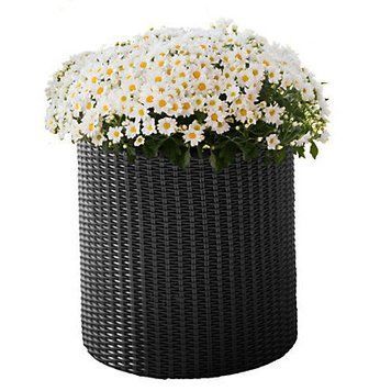 Горщик для квітів Keter Cylinder Planter Small, 7 л, сірий 894914611 фото